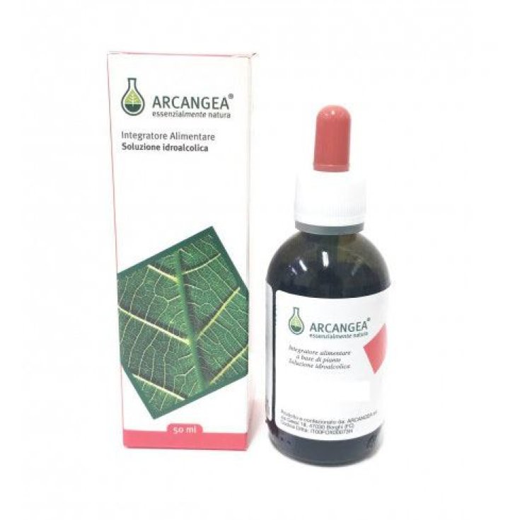 Arcangea Carpinus Betulus Circulatum Complément Alimentaire 50 ml
