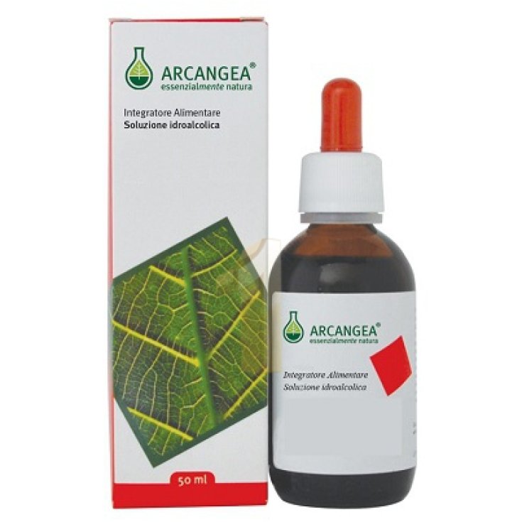 Arcangea Ficus Carica Circulatum Complément Alimentaire 50 ml