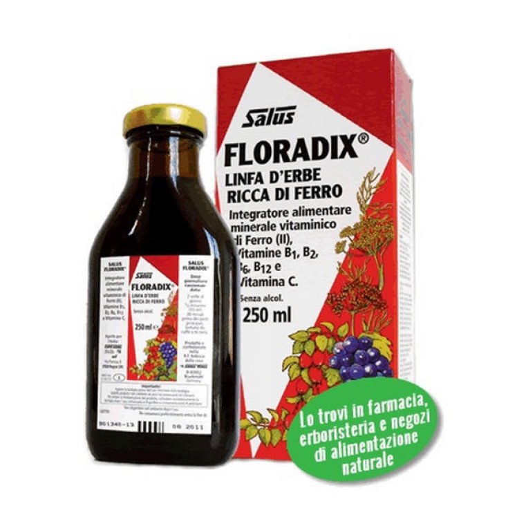 Salus Floradix Linfa D'Erbe Complément Alimentaire Riche En Ferro 250 ml