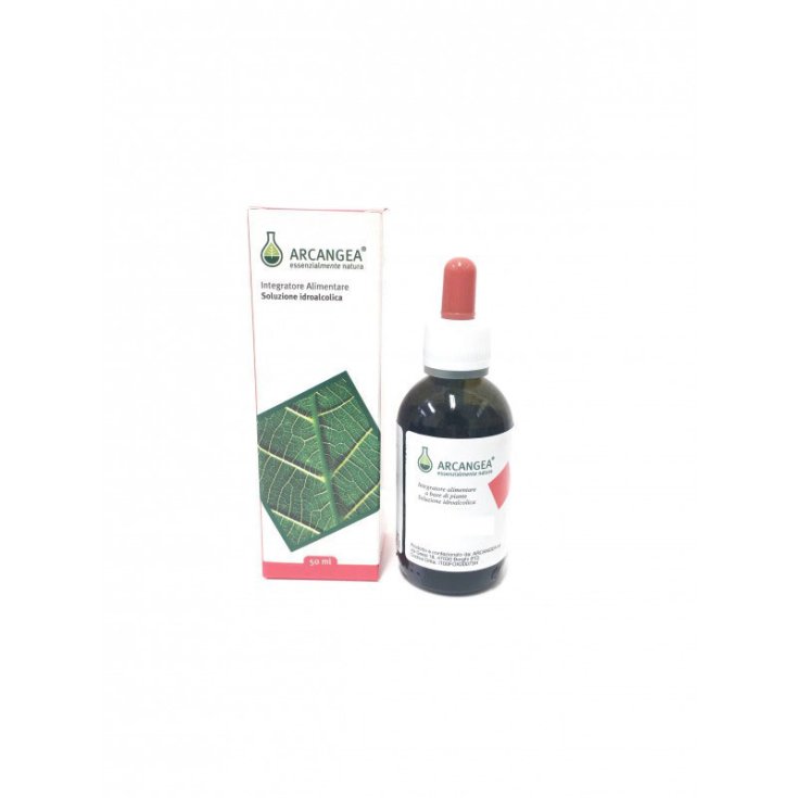 Arcangea Gramigna Solution Hydroalcoolique 50 ml