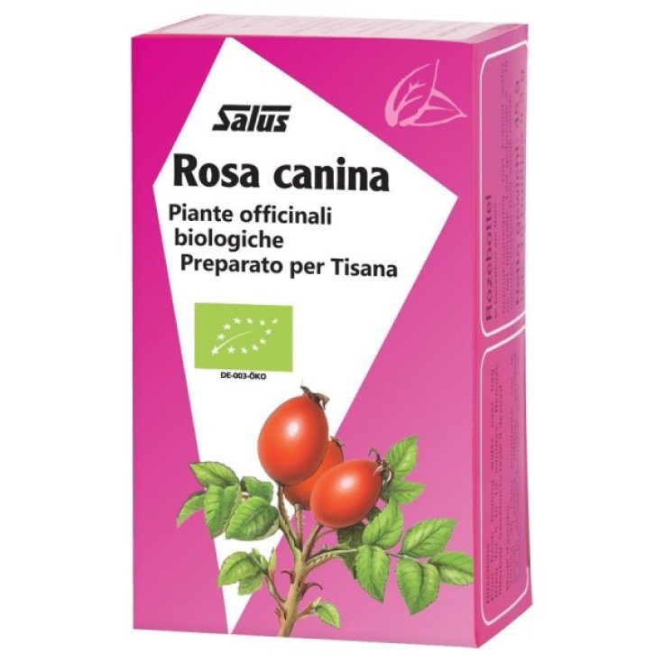 Salus Rosa Canina Tisane Bio 15 Filtres