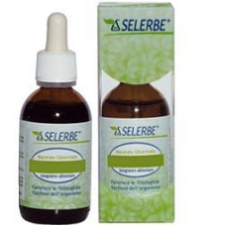 Selerbe Bouleau Linfa Complément Alimentaire 50ml Mg