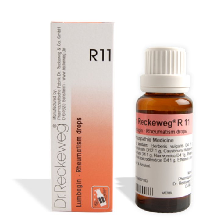 Dr. Reckeweg R11 Gouttes 22 ml