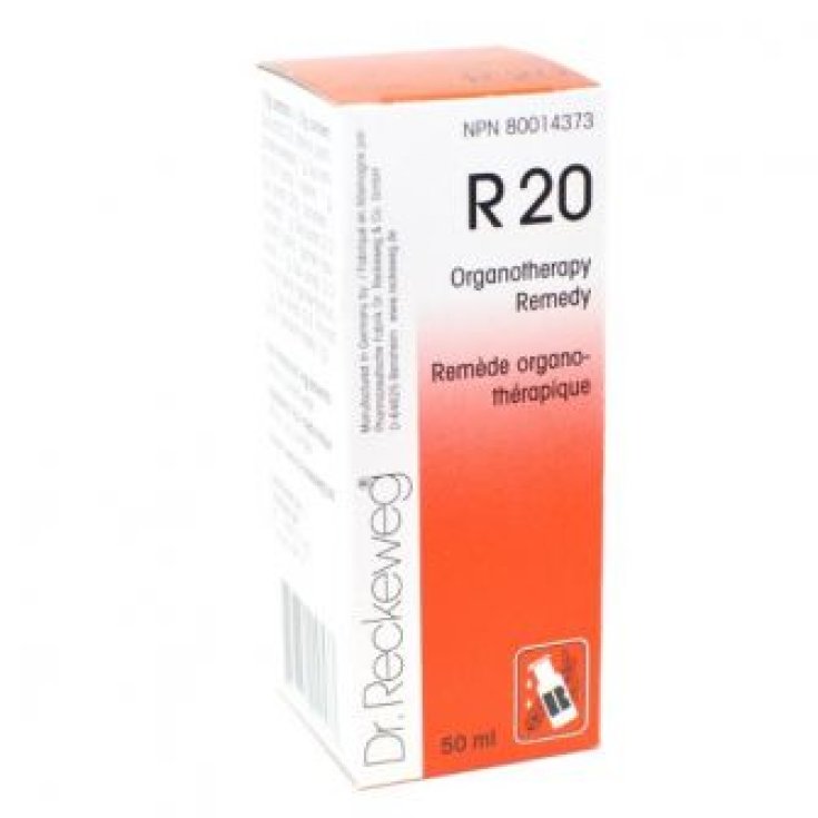 Dr. Reckeweg R20 Remède Homéopathique En Gouttes 22 ml