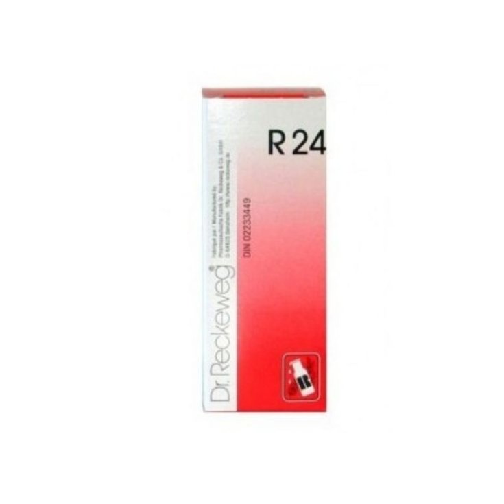 Dr. Reckeweg R24 Remède Homéopathique En Gouttes 22 ml