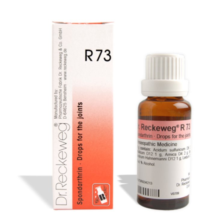 Dr. Reckeweg R73 Gouttes 22 ml