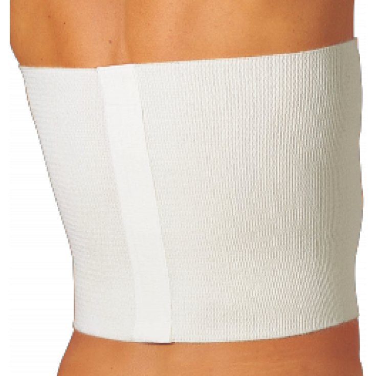 Gibaud Therapy Line Ceinture Plume 28cm Taille 1