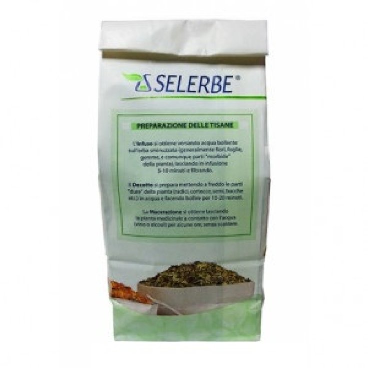 Selerbe Feuilles de Pissenlit Anciennes Herbes pour Infusion