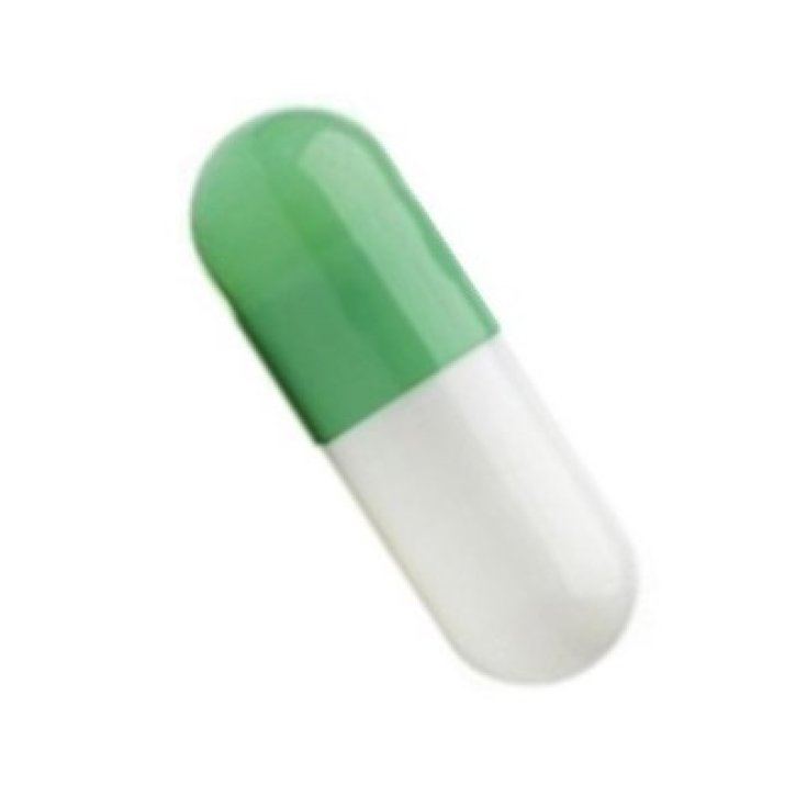 Capsule 1 Blanc / Vert 5000 Pièces