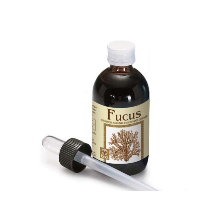 Extrait de Fucus Sans Alcool 50ml