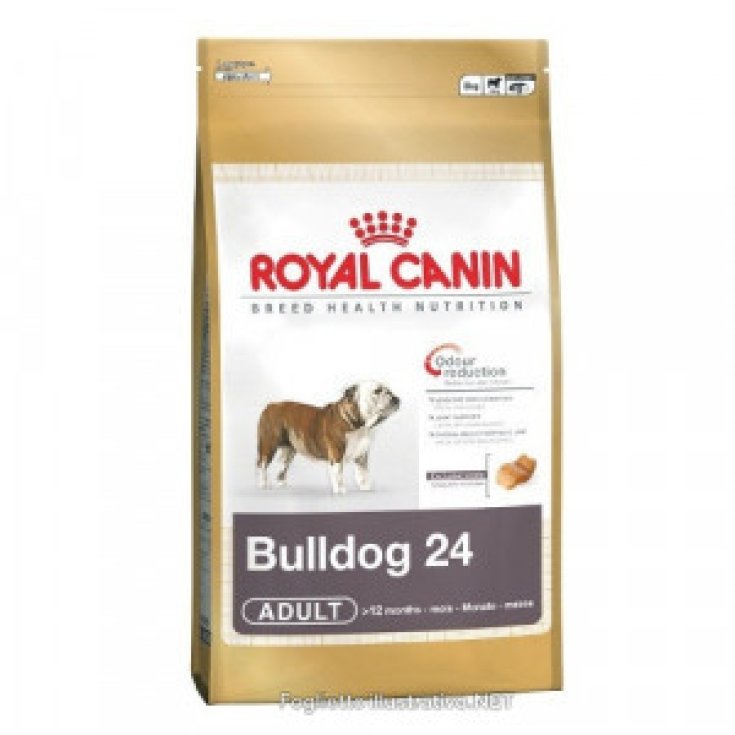 Royal Canin Race Hn Bulldog 24 Adulte 12kg