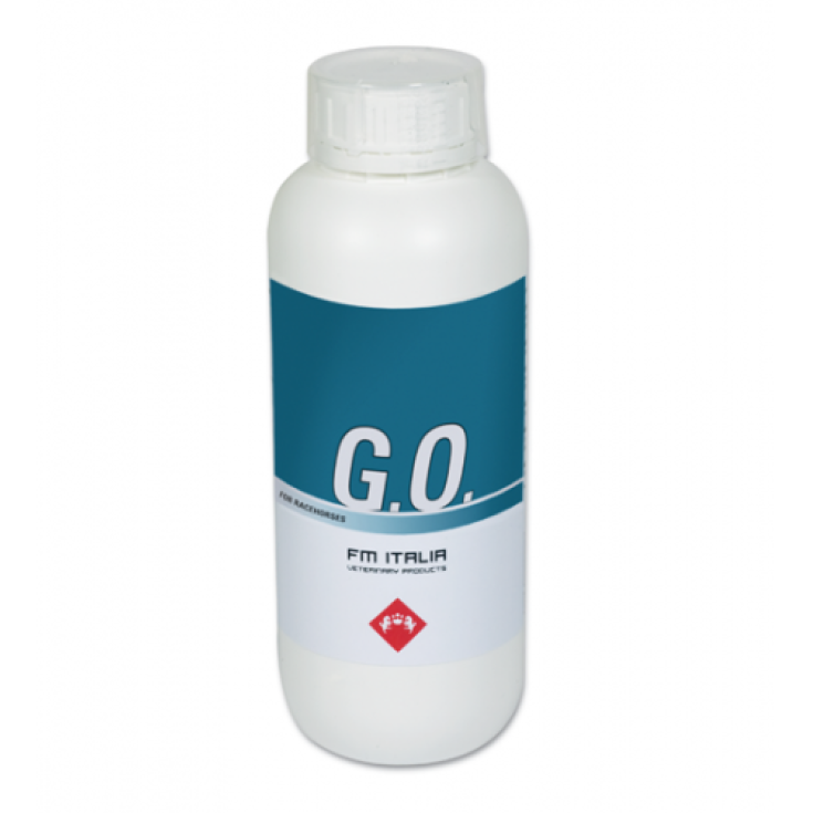 Fm Italia Go Os Nettoyant pour animaux 1000 ml