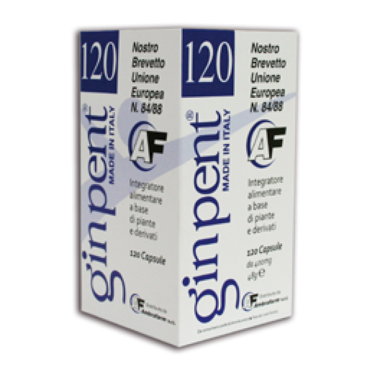 GinPent 120 Complément Alimentaire 120 Gélules