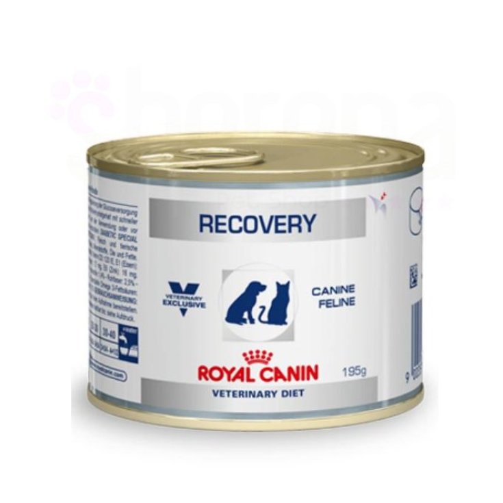 Royal Canin Veterinary Recovery Nourriture humide 195 g