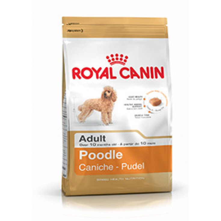 Royal Canin Breed Hn Caniche Nourriture Pour Caniches 1,5kg