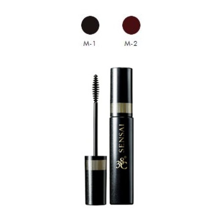 Kanebo Mascara 38C Noir