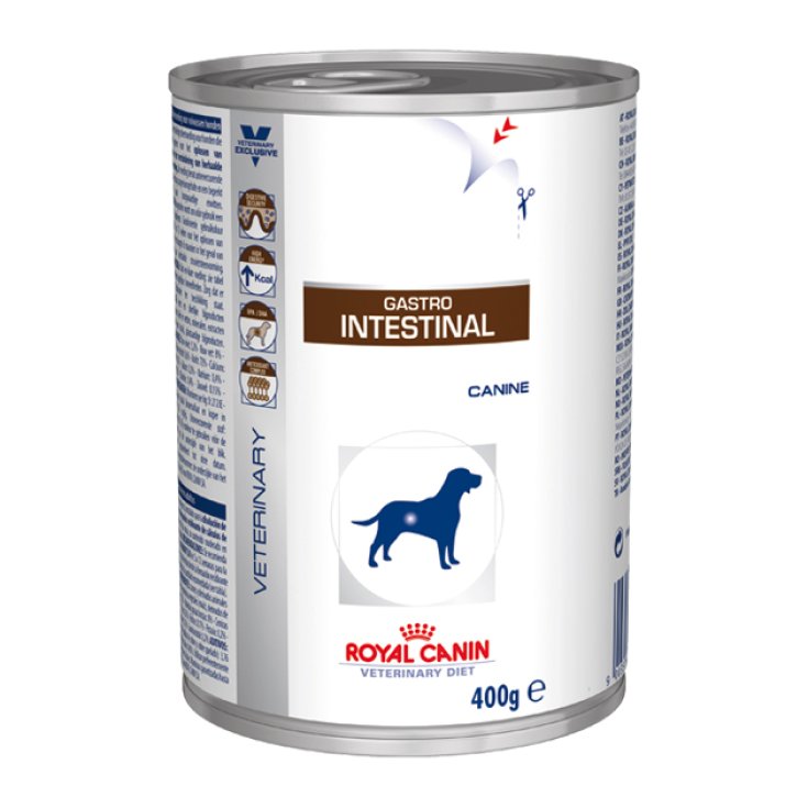Vétérinaire Dc Wet Gastro 400g