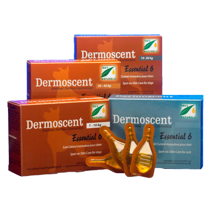 Dermoscent Essentiel 6 Spot On Chats 4x0,6ml