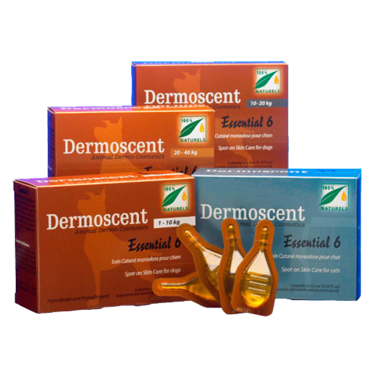 Dermoscent Essential 6 Spot-On Pour Chiens 10-20kg