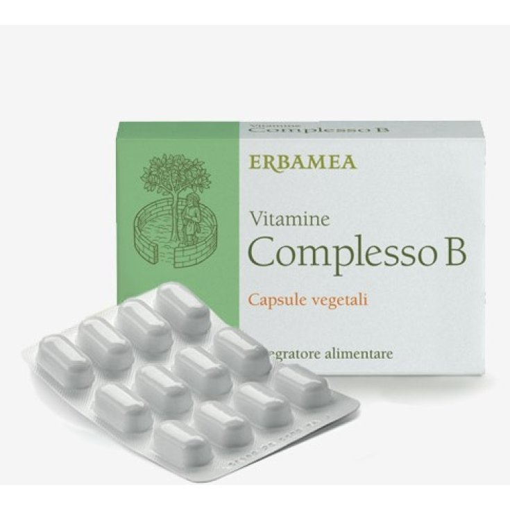 Erbamea Complexe Vitamines B Complément Alimentaire 24 Gélules Végétales