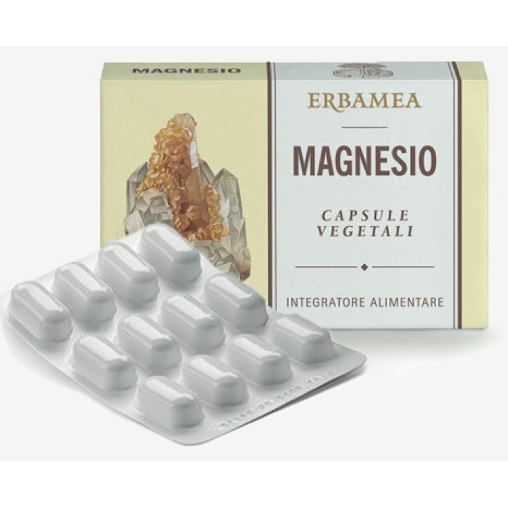 Erbamea Magnésium Sans Gluten 24 Comprimés 1200 mg