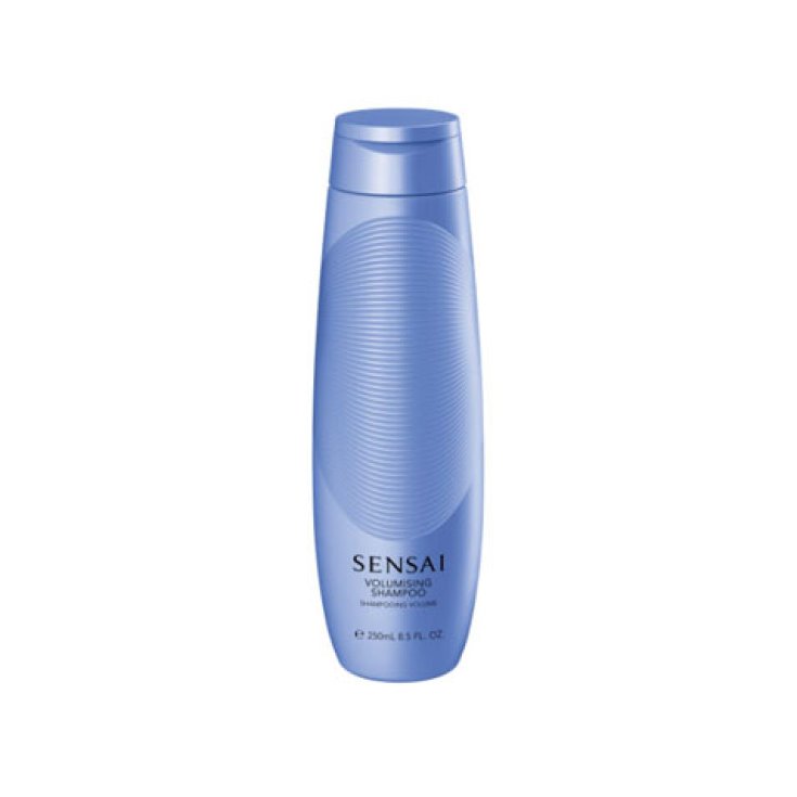 Kanebo Hair Care Shampooing Volumateur 250 ml