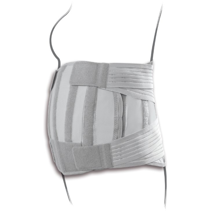 Tenortho Agilomb Corset Bas du Dos Taille XL