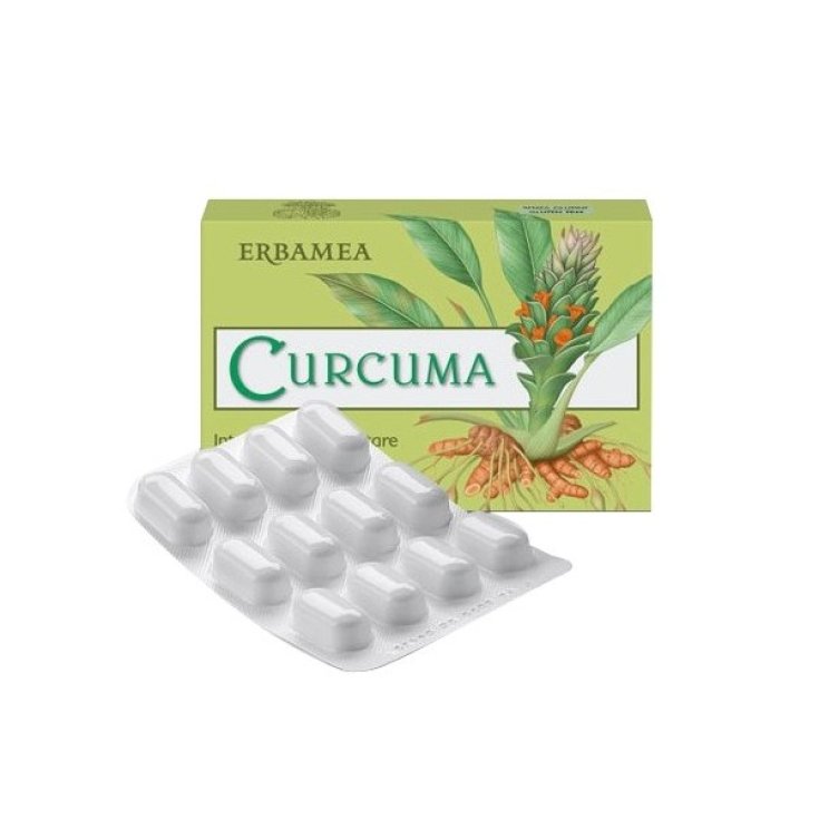 Erbamea Curcuma Complément alimentaire 12g