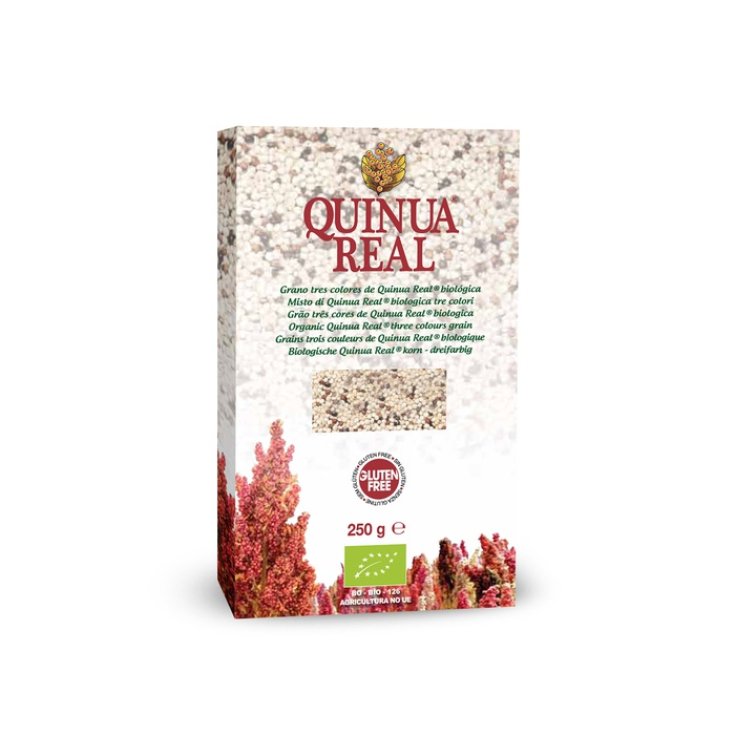 Quinua Real Mix Quinoa Trois Couleurs Bio 250g