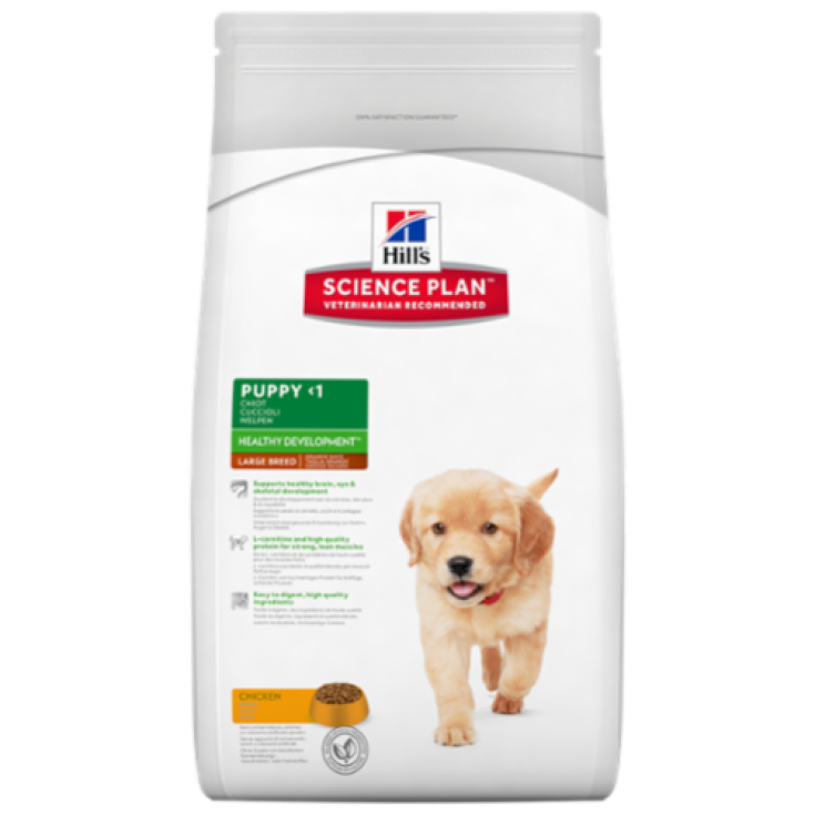 Hill's Science Plan Canine Puppy Développement Sain Grande Race Avec Poulet 11 kg