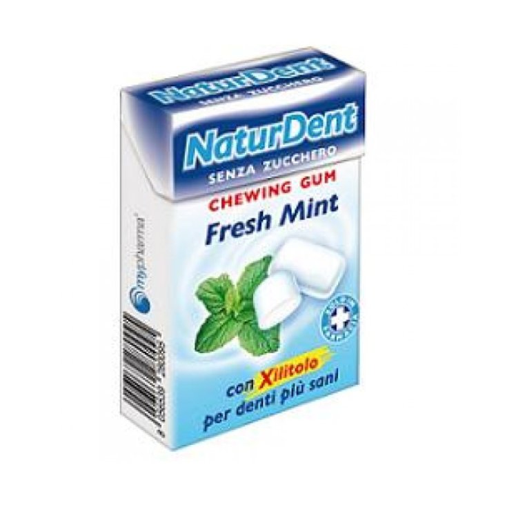 Naturdent Chewing Gum Menthe Fraîche