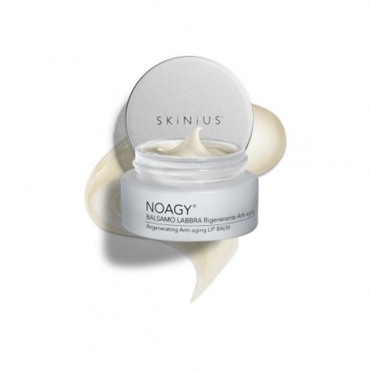 Skinius Noagy Baume Lèvres Anti-Âge Régénérant 15 ml