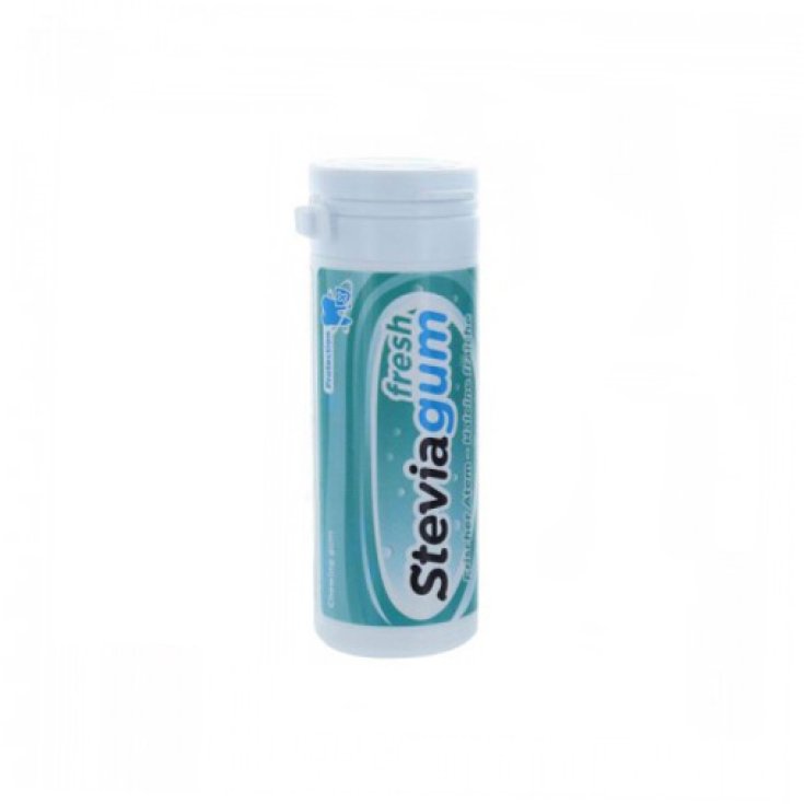 Stevia Gum Chewing Gum Frais 30g