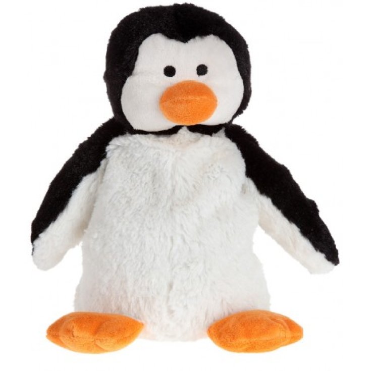 Chiot Pingouin
