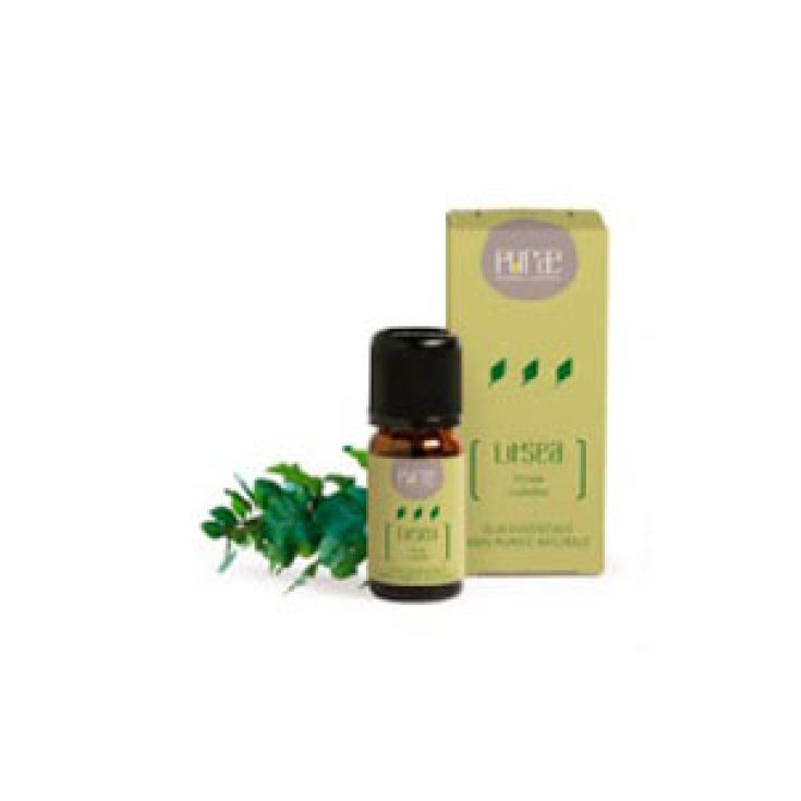 Purae Synergie Huiles Essentielles Fruits de Litsée 10 ml