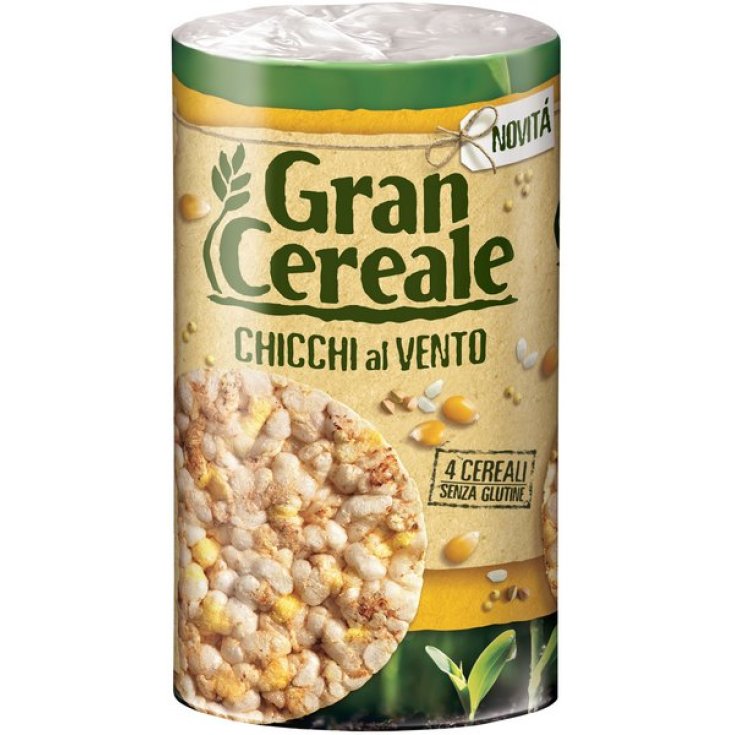 Gran Cereale Grains In The Wind Gâteaux Multicéréales 100g