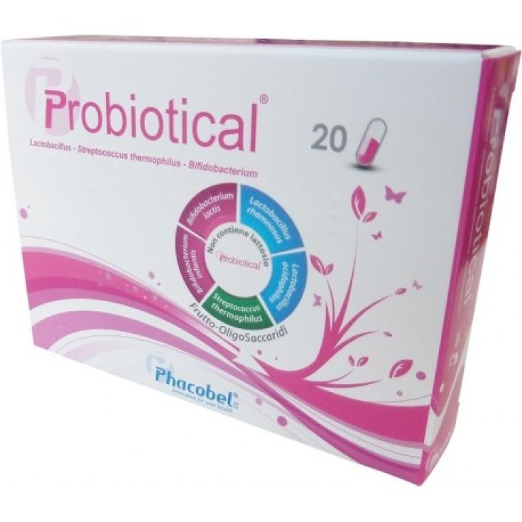 Probiotique Avec Vitamine D3 20 Gélules