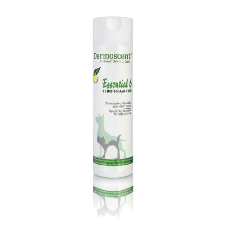 Dermoscent Essential 6 Sébum Shampoing Pour Animaux 200 ml