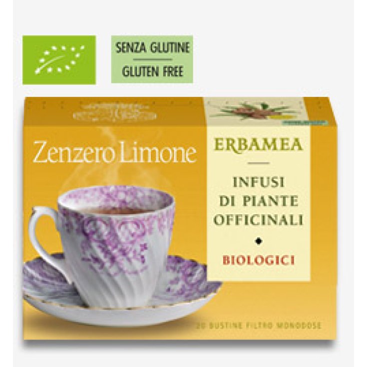 Erbamea Gingembre Et Citron Bio 20 Bustinec