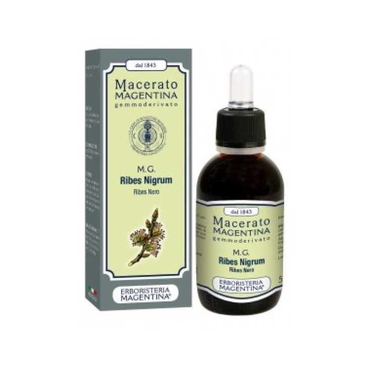 Macérat Magentina MG Ribes Nigrum Cassis Macérat Extrait de Bourgeon 50ml