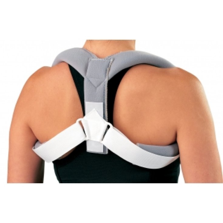 Bandage Claviculaire Cromax Couleur Gris Taille L