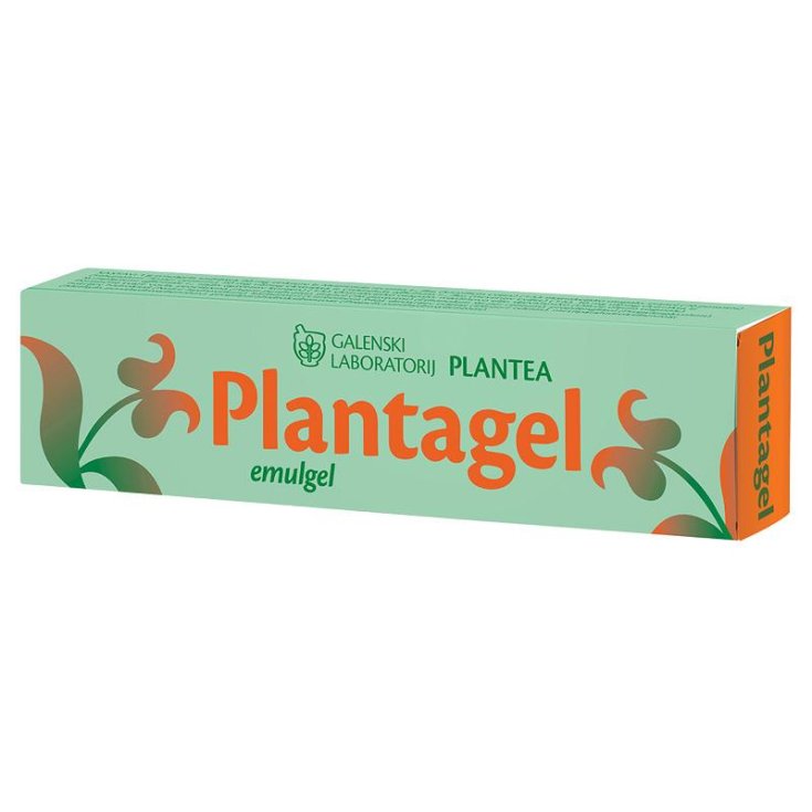 Plantea Plantagel Complément Alimentaire 20 Sachets