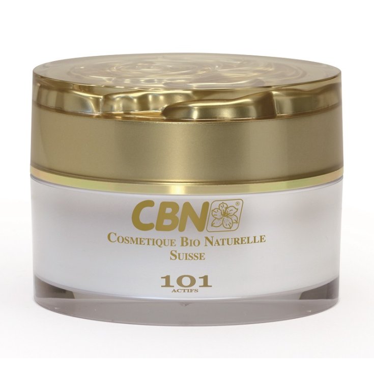 CBN CREME MULTIF.GLOBAL P.NOR.360