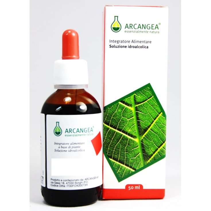 Arcangea Passiflora Bio Solution Hydroalcoolique 50 ml