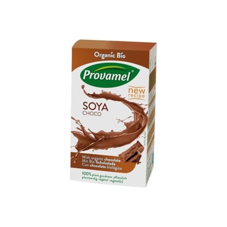 Ki Group Provamel Mini Boisson au Soja Saveur Chocolat 250ml