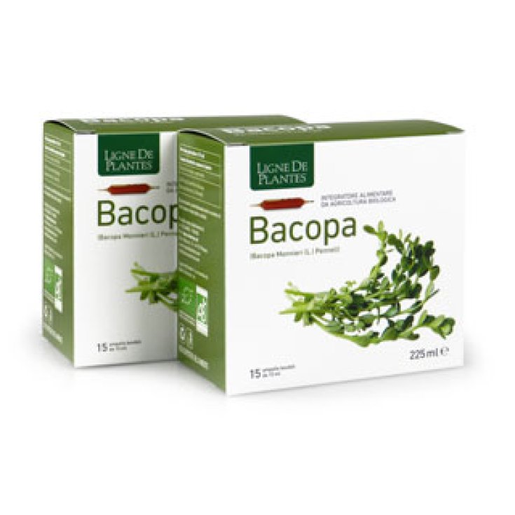 Ligne De Plantes Bacopa Complément Alimentaire 15 Ampoules De 15 ml