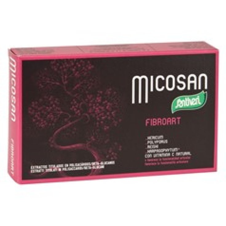 Santiveri Micosan Fibroart Complément Alimentaire 40 Comprimés