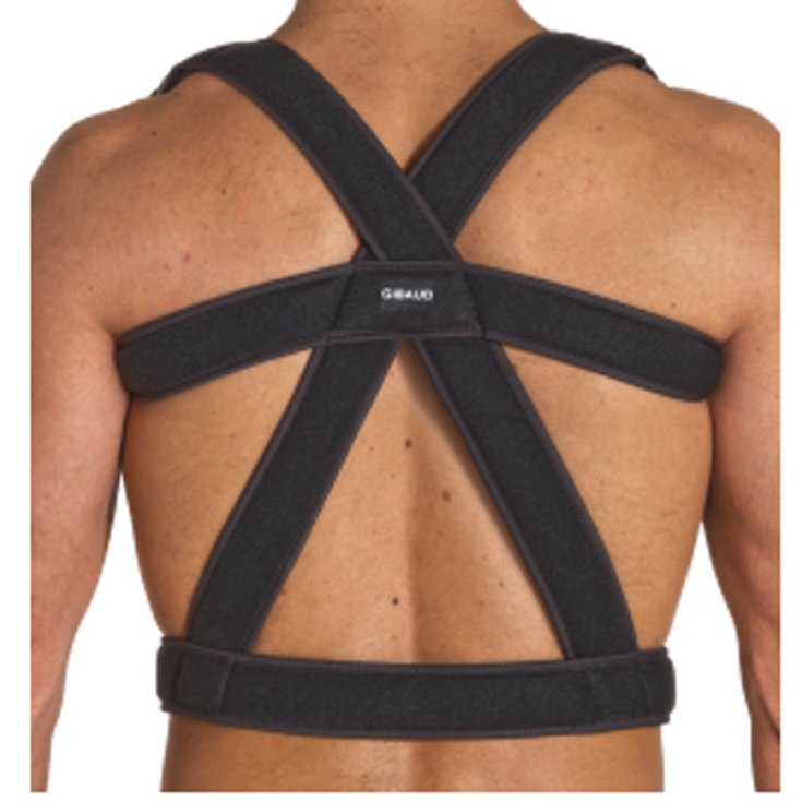 Gibaud Orthopaedic Line Support Dorsal Taille 2