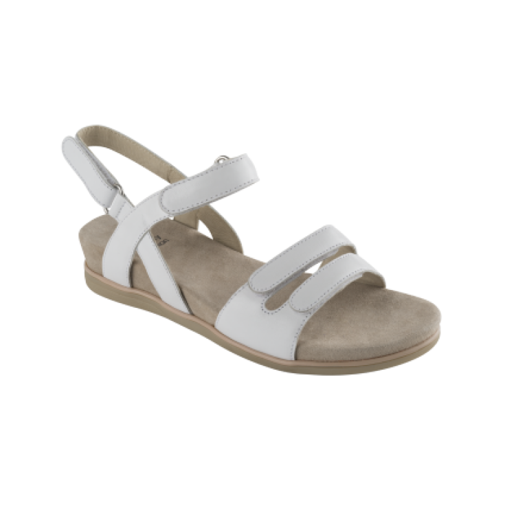 Scholl Canova Cuir Blanc Couleur Taille 39