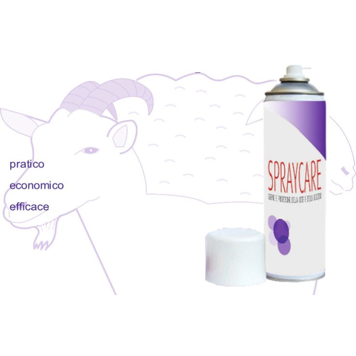 Spraycare 450ml